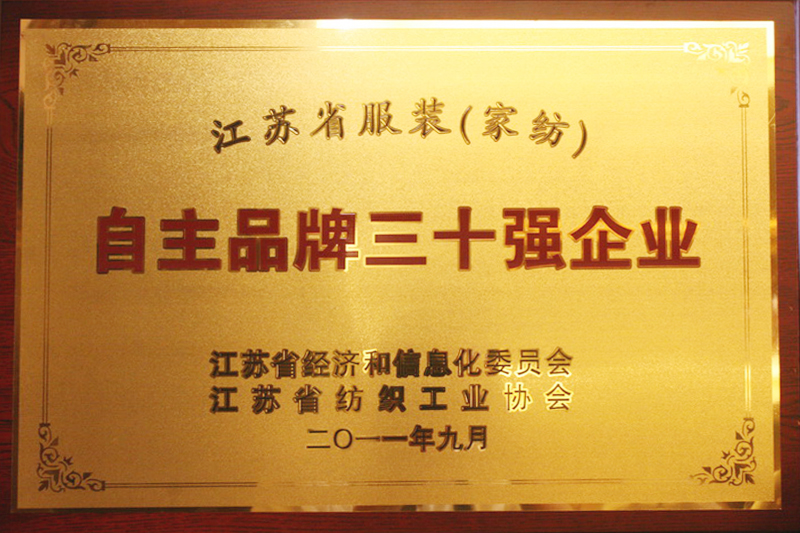 江蘇省服裝（家紡）自主品牌三十強(qiáng)企業(yè)