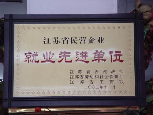   江蘇省民營企業(yè)就業(yè)先進(jìn)單位 