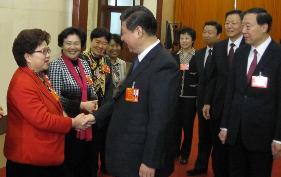 江蘇亞萍集團(tuán)董事長(zhǎng)陸亞萍參加第十一、十二、十三屆三屆全國(guó)人民代表大會(huì)