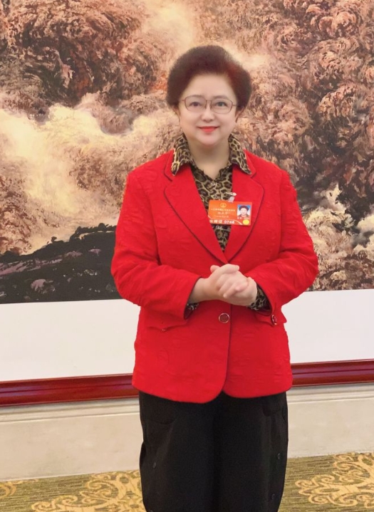 【中廣網(wǎng)】全國(guó)人大代表陸亞萍：對(duì)城鎮(zhèn)圍圈征用土地拋荒問(wèn)題的建議